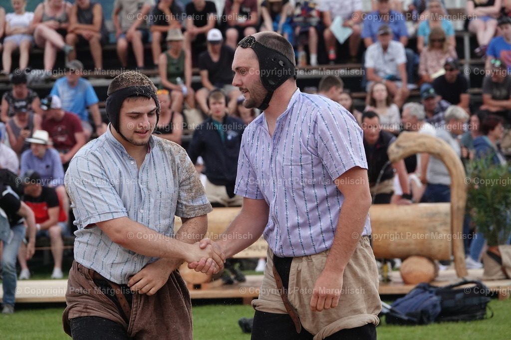 DSC04632 | Schwingen - Realisiert mit Pictrs.com