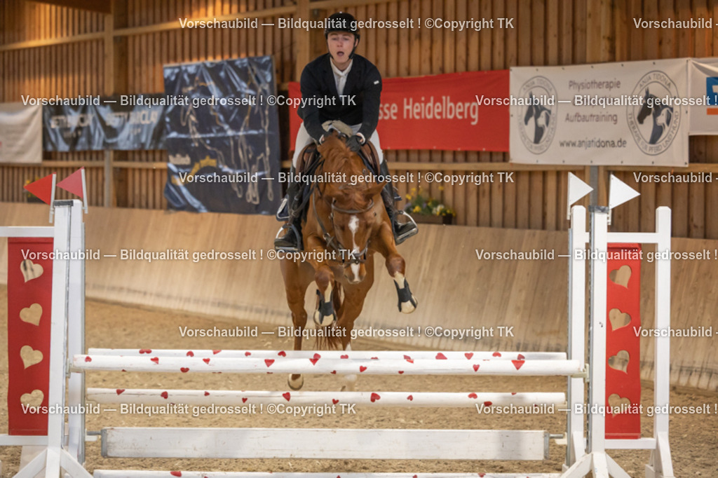 _D5A7021 | Emotionale Pferde- & People-Fotografie rund um Heidelberg, Leimen & Umgebung. Natürliche Fotos von Pferd, Mensch & Familie. Jetzt Termin sichern!