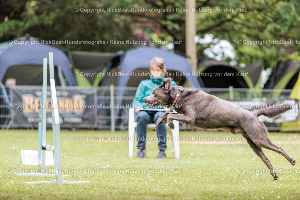RO-Blumenthal-2026-Nickbest-Hundefotografie-3023 | Dein Hund! Dein Moment! Deine Erinnerungen! Hundefotografie in Bremen Blumenthal. Ich fange die besonderen Momente deines Vierbeiners ein – ob Indoor mit Blitzanlage oder in der freien Natur. Sicher dir dein Moment und dein Termin für eure Erinnerungen.