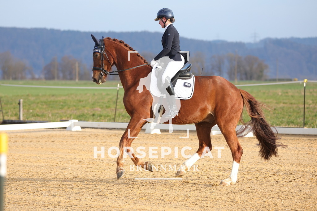 0P6A5949 | Willkommen bei Brunnmayr - Design & Fotografie – Ihrem Spezialisten für Reitturniere und Pferdeveranstaltungen in Oberösterreich, Salzburg und Bayern! Seit über 17 Jahren sind wir leidenschaftlich dabei.