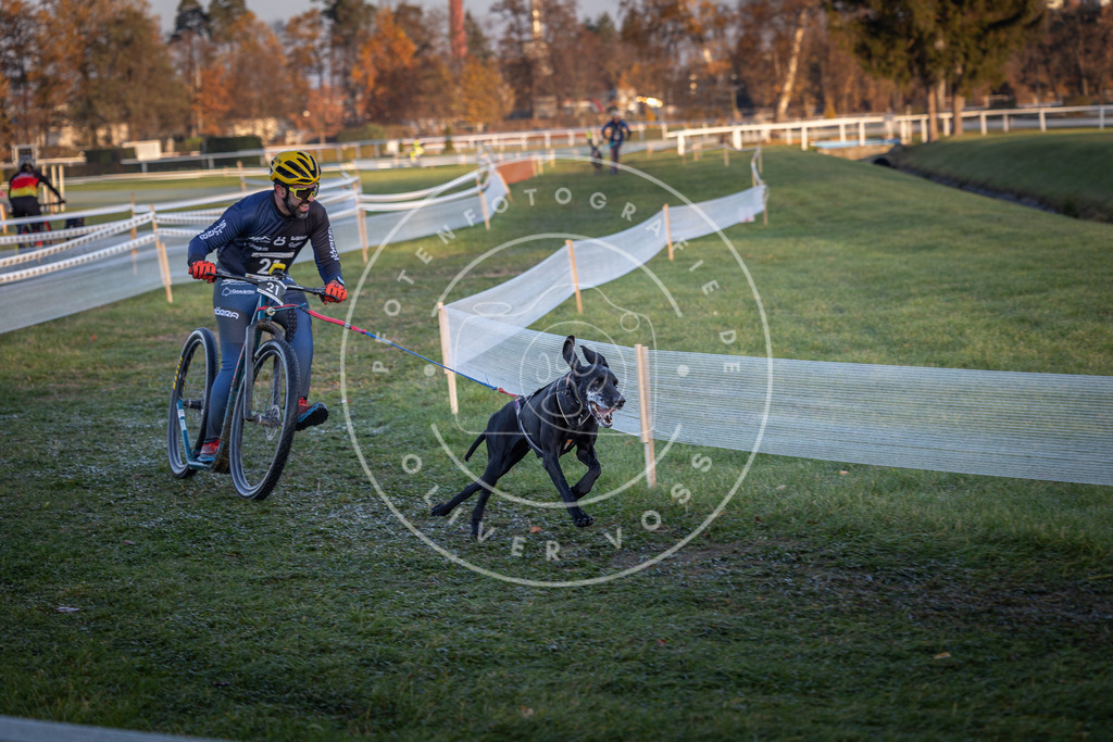 CaniXpix_0L8A1631 | Hundefotografie, Tierfotograf, Pfotenfotografie, Fotoshooting Hund, Hunde Portrait, Hundesport, Hundeportraits, Heideshooting, Hunde, Sportfotograf, Hundefotograf, Turnierhundsport, THS,  - Realisiert mit Pictrs.com