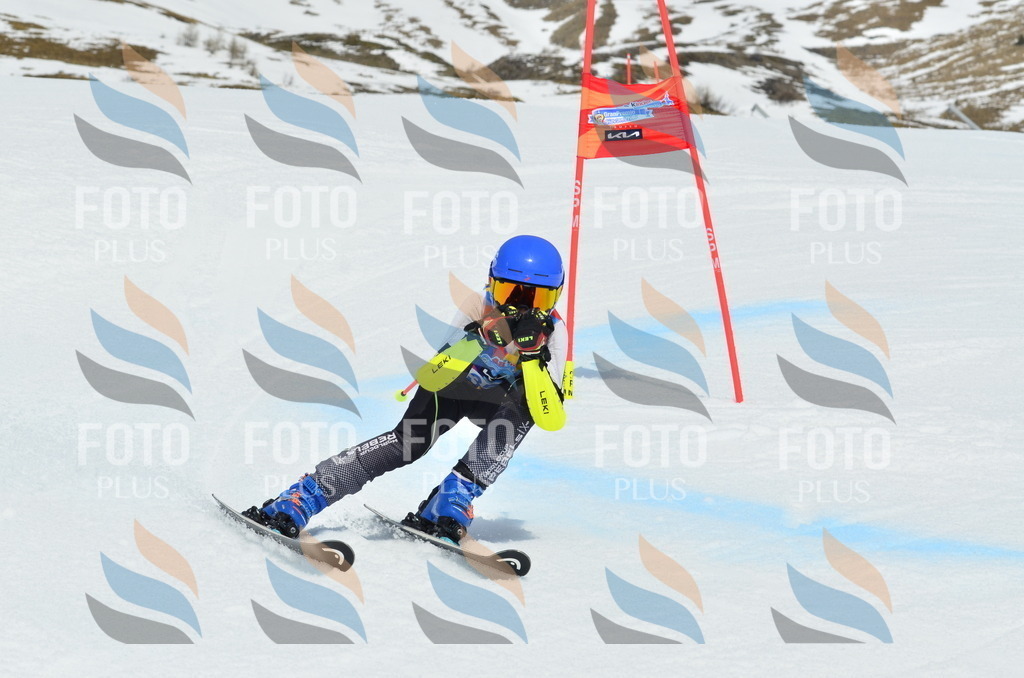 _ELE2826 | holidayphoto