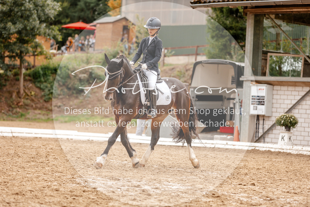 3I6A7910 | Stimmungsvolle Portraits und Reitsportfotografie im Ruhrgebiet und im Münsterland.

Pferdefotografie, Hundefotografie, Tierfotografie, Reportagen, Portraits von Tier und Mensch, Turnierfotografie in Bochum, Recklinghausen, Marl, Haltern am See, Dülmen.. - Realisiert mit Pictrs.com