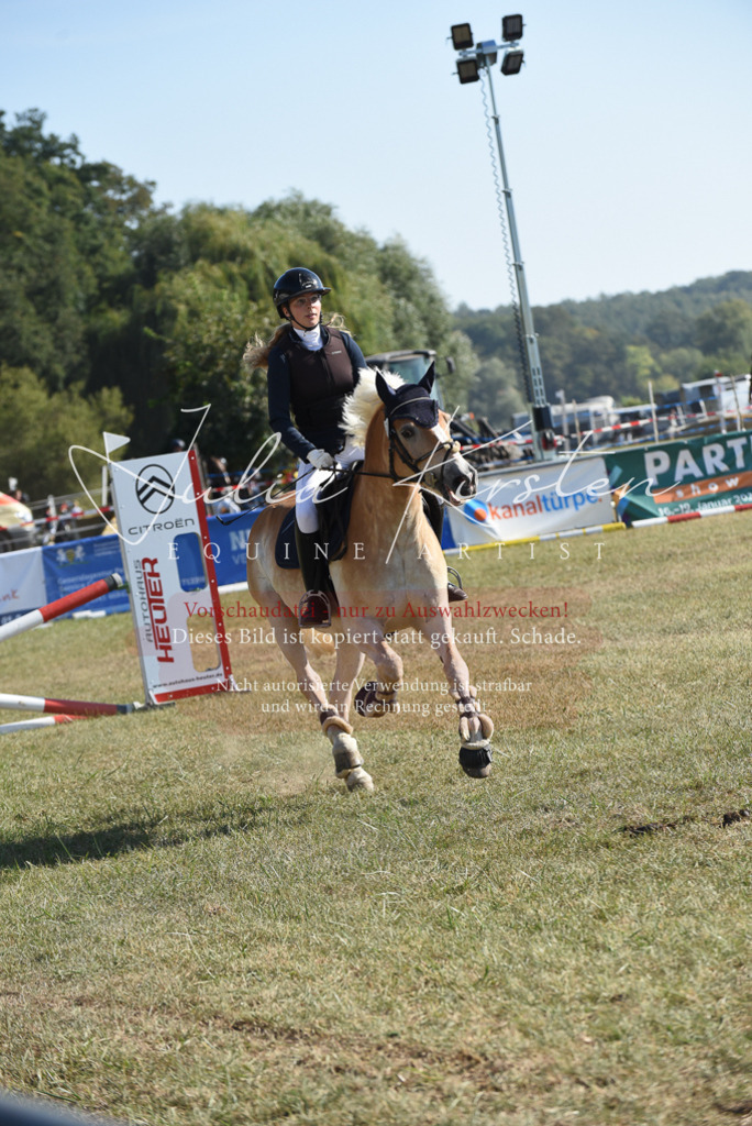 DSC_5890 | Pferde- und Turnierfotografie in Westsachsen. Pferdeportraits, Auftragszeichnungen und intuitive Kunst.
