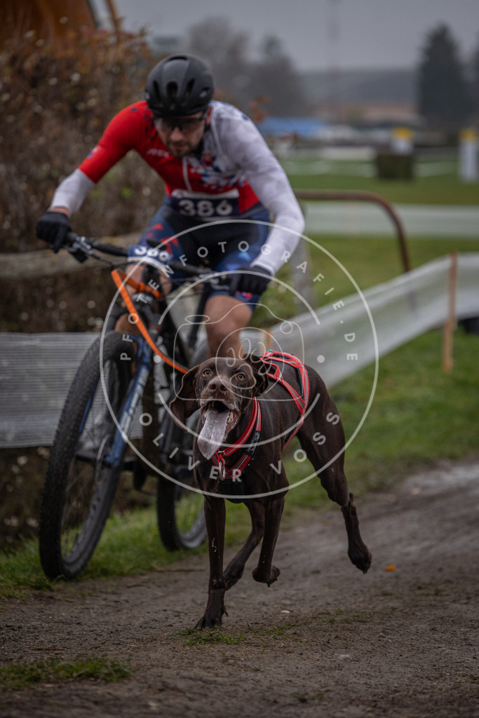 CaniXpix_0L8A1124 | Hundefotografie, Tierfotograf, Pfotenfotografie, Fotoshooting Hund, Hunde Portrait, Hundesport, Hundeportraits, Heideshooting, Hunde, Sportfotograf, Hundefotograf, Turnierhundsport, THS,  - Realisiert mit Pictrs.com
