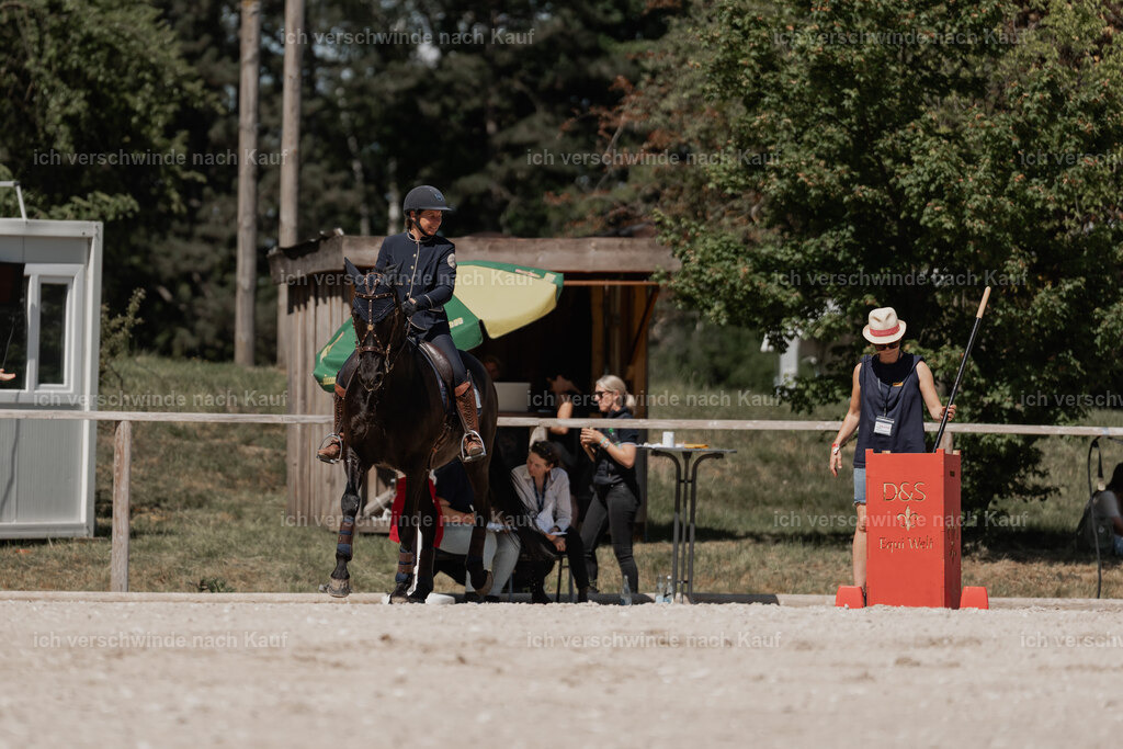 WE_ST_Stoib_315_PI2025_1308 | Pferd International München 2025
