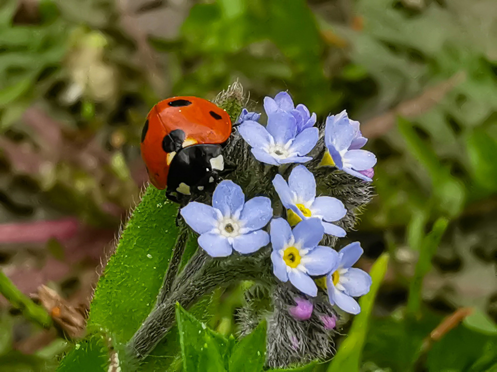 PSX_20240512_152556 | mtkfoto_ - Realisiert mit Pictrs.com