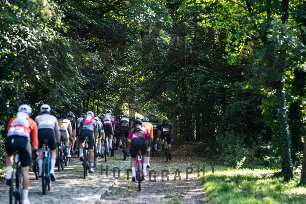 DKP-0131 | Drew Kaplan Photography