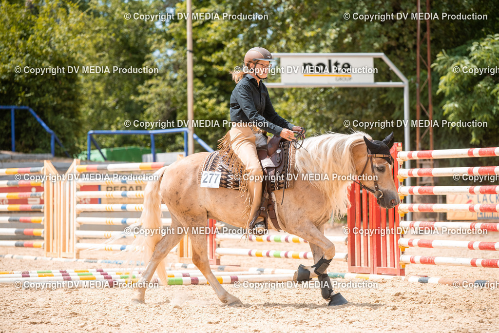 EWP_6527 | dv-media-shop - Realisiert mit Pictrs.com