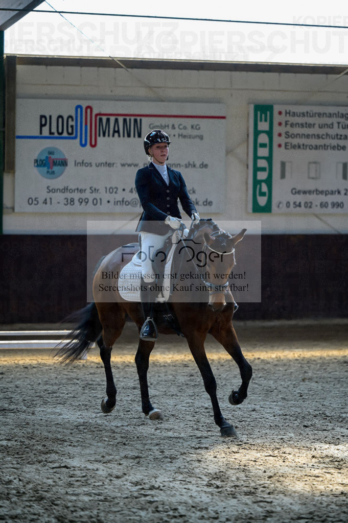Reitturnier Voxtrup | Entdecke hochwertige Reitturnierfotos von Foto Oger. Professionell, emotional und authentisch – jetzt Lieblingsmomente im Shop bestellen.Deutschlandweite Turnierfotografie. - Realisiert mit Pictrs.com