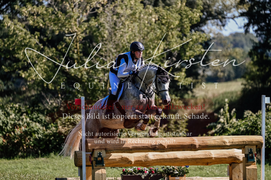DSC_1420 | Pferde- und Turnierfotografie in Westsachsen. Pferdeportraits, Auftragszeichnungen und intuitive Kunst.