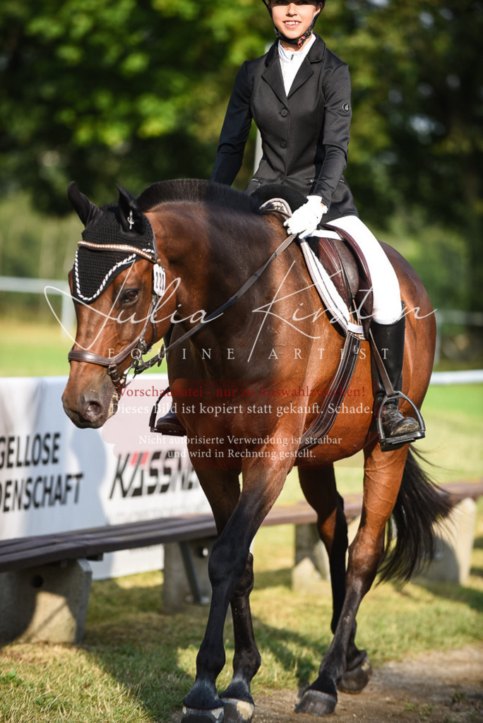 DSC_3511 | Pferde- und Turnierfotografie in Westsachsen. Pferdeportraits, Auftragszeichnungen und intuitive Kunst.