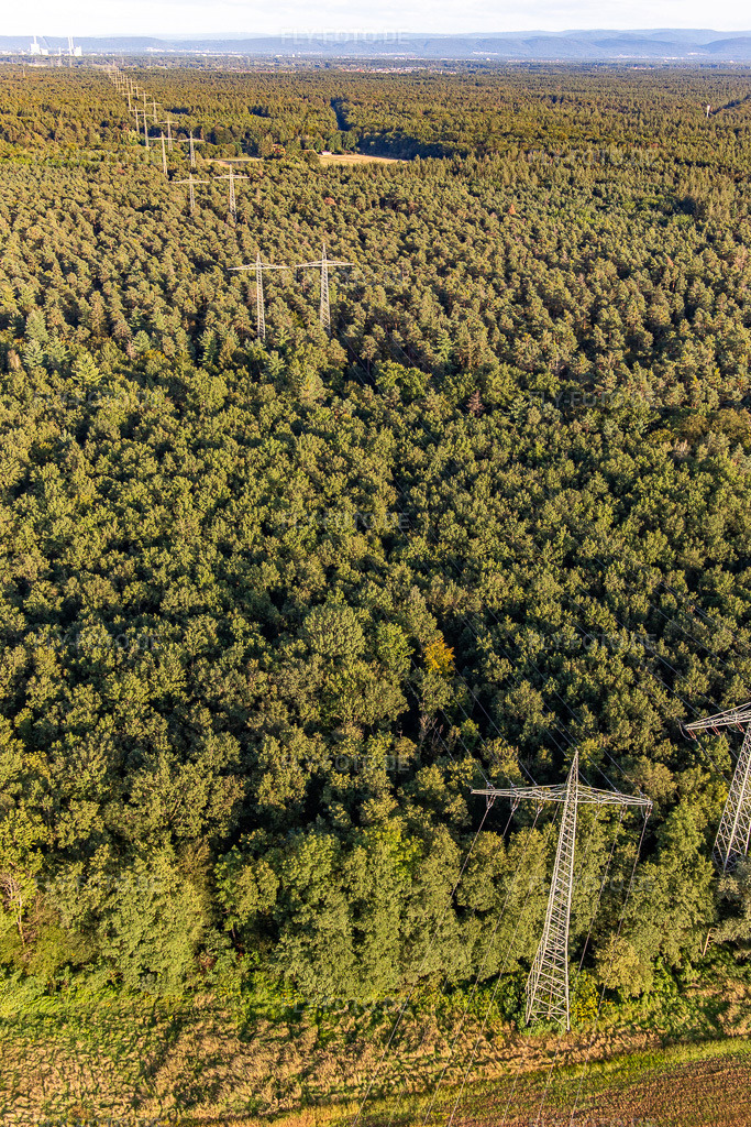 Luftbild: Zwei Hochspannungsleitungen überqueren den Bienwald Richtung Karlsruhe in Wörth am Rhein im Bundesland Rheinland-Pfalz in Deutschland. Foto: IMG_143279.jpg vom 25.08.2024 durch Werner Riehm/FLY-FOTO.de