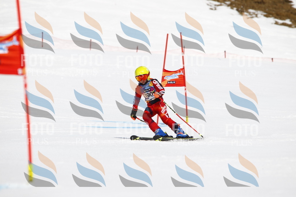 _U3G4973 | holidayphoto