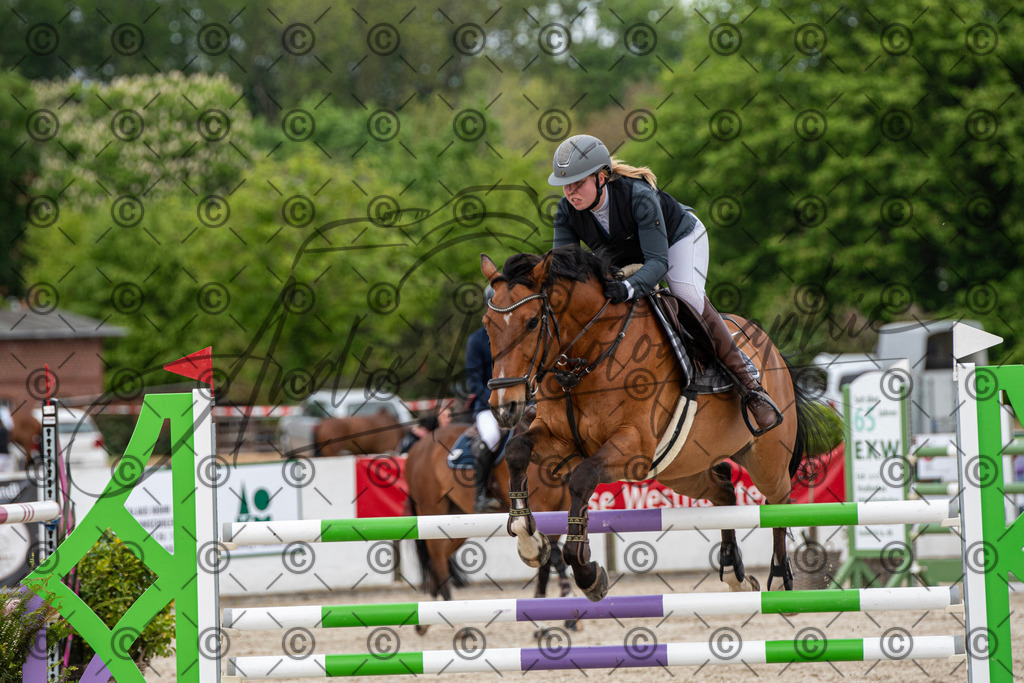 KPT_0023 | andre_photographic