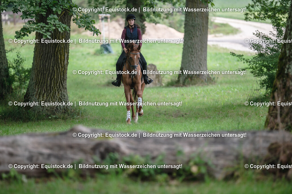 20250726_Vielseitigkeitslehrgang-Marbach_0213 | Foto: Thomas Hartig