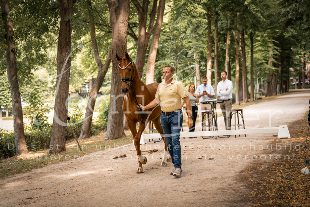 FrPfM00093 | Leoni Ertmer Photography - Realisiert mit Pictrs.com