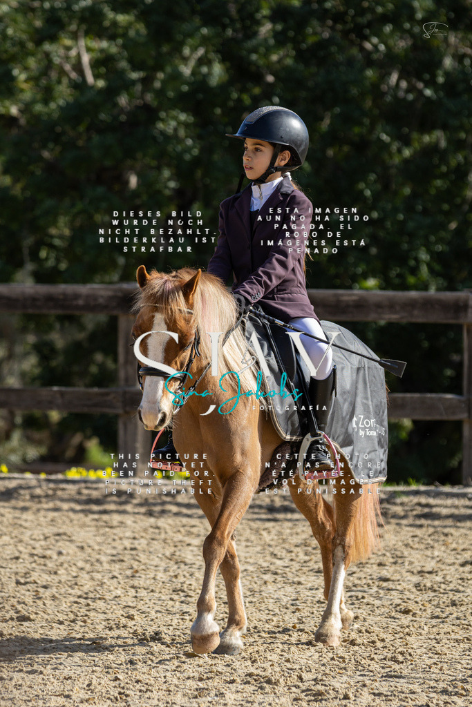 IMG_5841 | s-jay-photography - Realisiert mit Pictrs.com