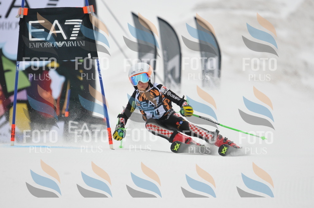 DSC_7861 | holidayphoto