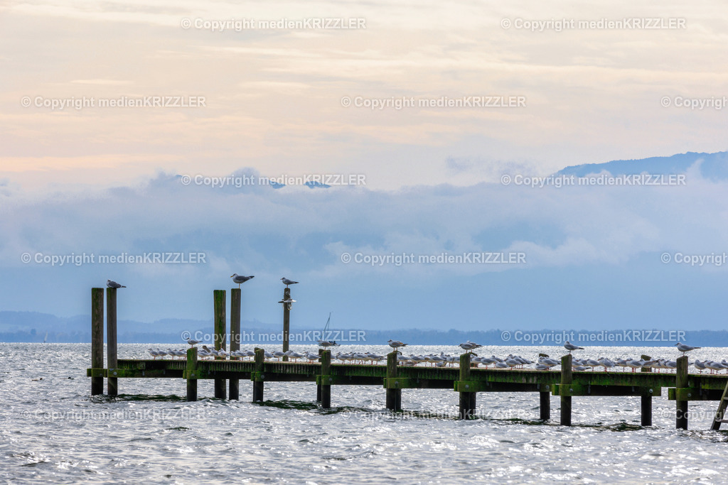 _J3A8681 | medienkrizzler - Realisiert mit Pictrs.com