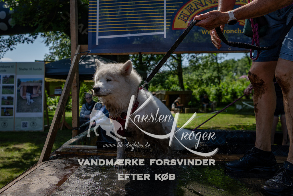 1329_ZZ91474 | kk-dogfotos