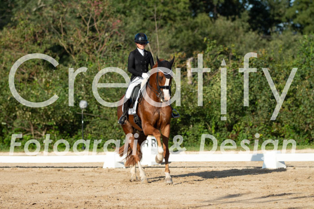 IMG_5850 | Creatify Fotografie