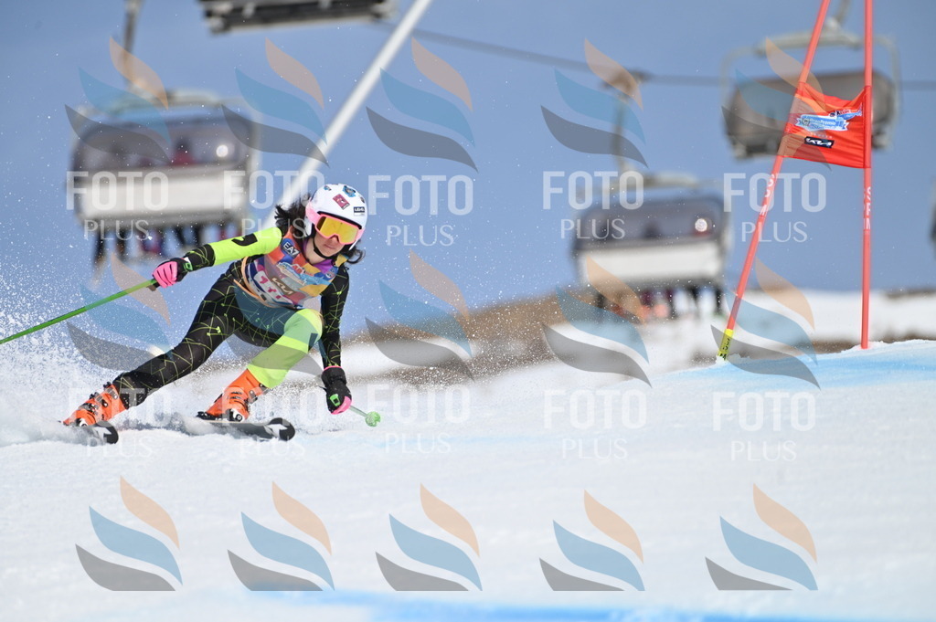 BGV_9748 | holidayphoto