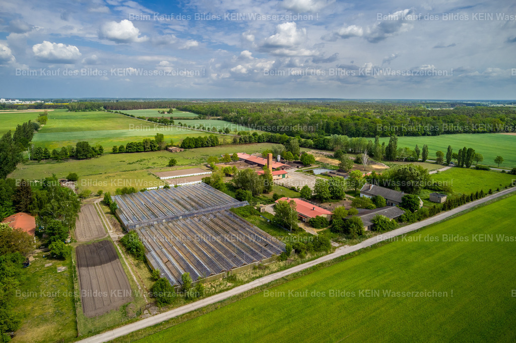Heeren Gutshof-0006 | Blick aus der Luft auf ein landwirtschaftlich genutztes Grundstück in der Altmark. Mehrere Gewächshäuser prägen das Gelände und bilden einen interessanten Kontrast zu den angrenzenden Feldern und der ländlich geprägten Umgebung.Die Aufnahme entstand im Rahmen eines Kundenauftrags und zeigt das Grundstück bewusst in seinem räumlichen Zusammenhang. Aus der Luft werden die Größe des Geländes, die Anordnung der Gewächshäuser und die Einbindung in die umliegende Landschaft besonders deutlich.Auch solche Aufnahmen gehören zur professionellen Standort- und Objektdokumentation. Die Luftperspektive vermittelt einen Überblick, der vom Boden aus kaum möglich wäre, und eignet sich damit beispielsweise für die Präsentation landwirtschaftlicher Betriebe, Grundstücke und größerer Anlagen. - Realisiert mit Pictrs.com