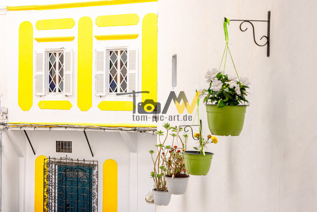 Eine beinahe typische Hausfassade, geschmückt mit Blumen in Tanger  | Das Bild zeigt die Fassade eines weiß getünchten Gebäudes, das durch leuchtend gelbe Akzente und Fensterläden verziert ist. Die Architektur weist traditionelle Elemente auf, wie die Gittertür im Erdgeschoss und die schmiedeeisernen Halterungen für Blumenampeln.An der Wand hängen mehrere grüne Töpfe mit blühenden weißen und gelben Pflanzen. - Realisiert mit Pictrs.com