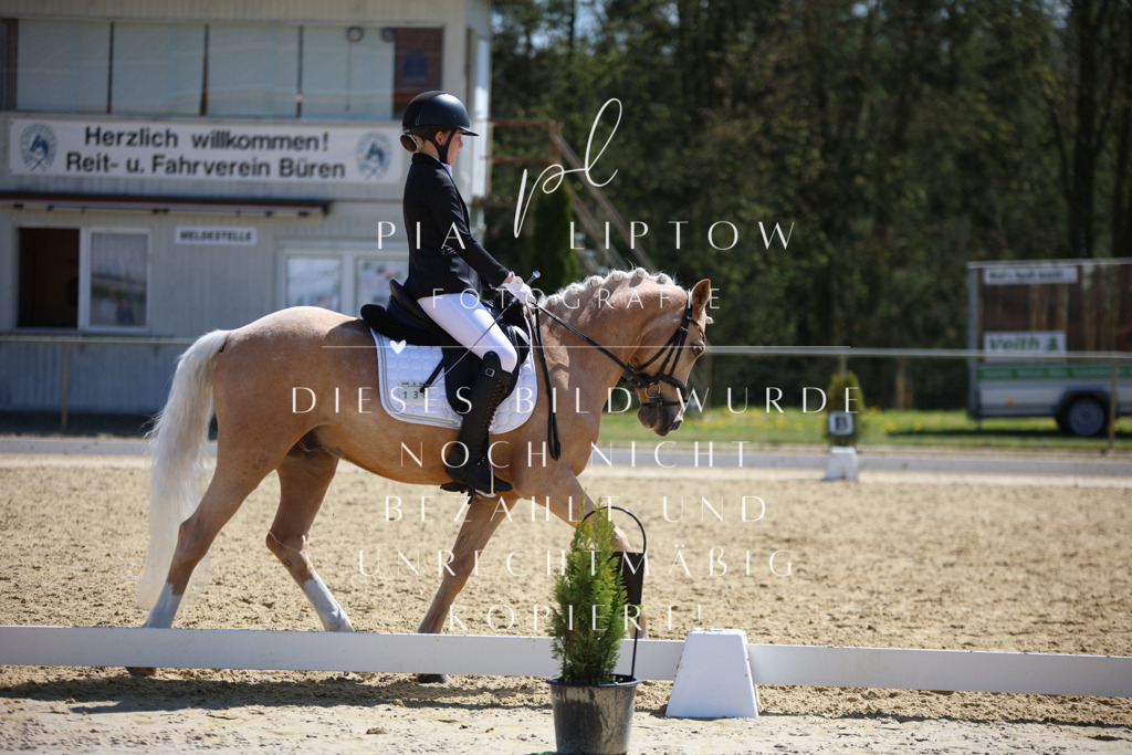 IMGT2335 | pl-fotografie