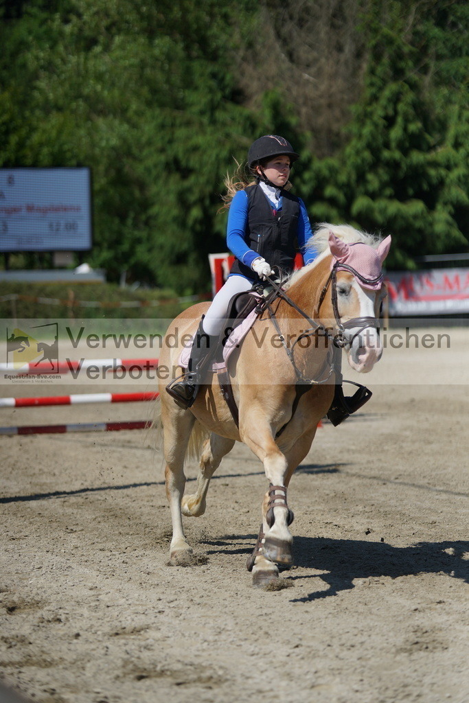 DSC06223 | equestrian-live-com