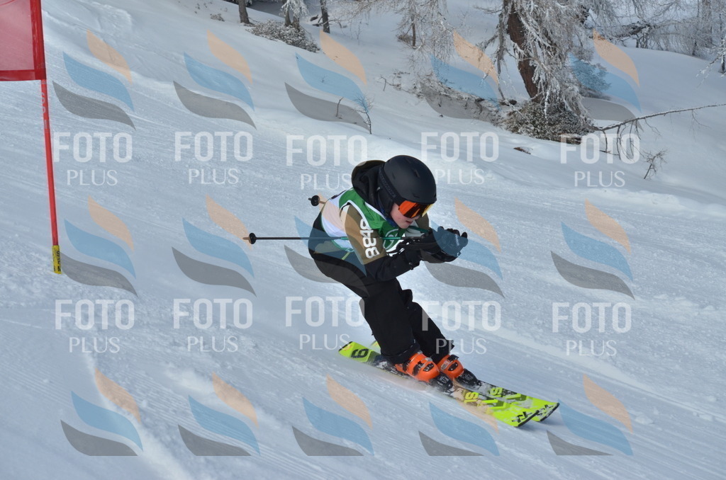 D8778 | holidayphoto