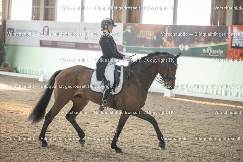 _D5A7773 | Emotionale Pferde- & People-Fotografie rund um Heidelberg, Leimen & Umgebung. Natürliche Fotos von Pferd, Mensch & Familie. Jetzt Termin sichern!