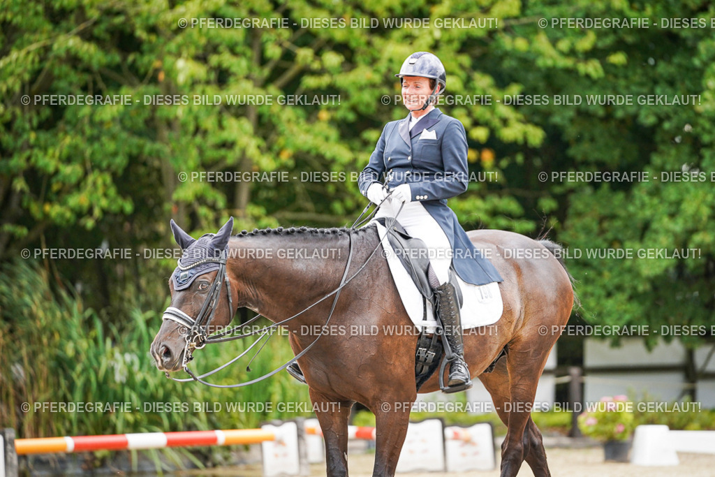 DSC07475 | Pferdegrafie