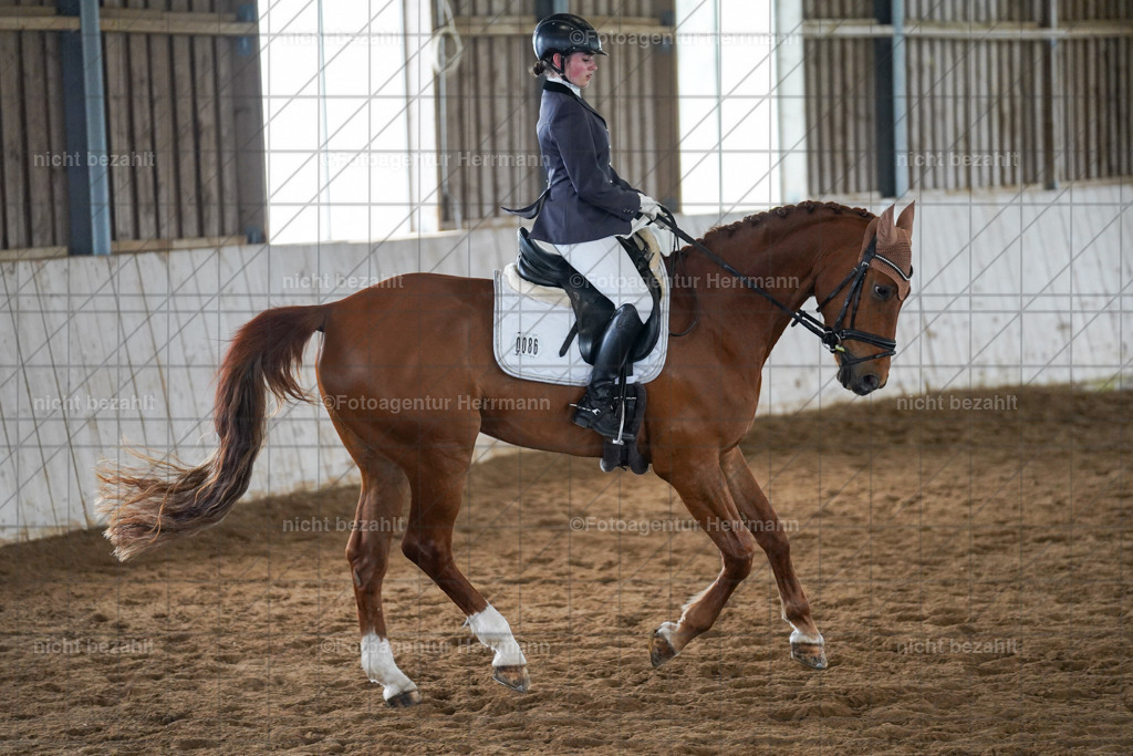 20230520-FAH05382 | Frühjahrsturnier, Landsberg am Lech, 2023, Reitclub Landsberg, Turnierbilder, Fotos Turnier Landsberg, Fotoagentur Herrmann, Turnierfotografen Bayern, Reitsport Fotograf, Pferde Fotograf