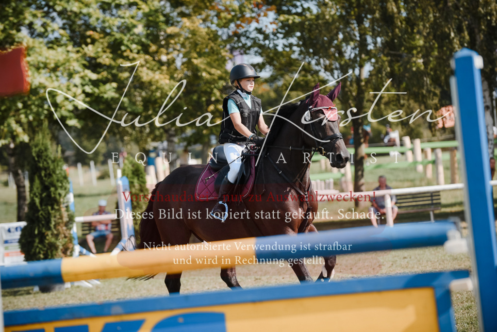 DSC_5238 | Pferde- und Turnierfotografie in Westsachsen. Pferdeportraits, Auftragszeichnungen und intuitive Kunst.