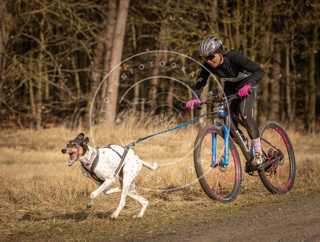 DV3A4239 | Hundefotografie, Tierfotograf, Pfotenfotografie, Fotoshooting Hund, Hunde Portrait, Hundesport, Hundeportraits, Heideshooting, Hunde, Sportfotograf, Hundefotograf, Turnierhundsport, THS,  - Realisiert mit Pictrs.com