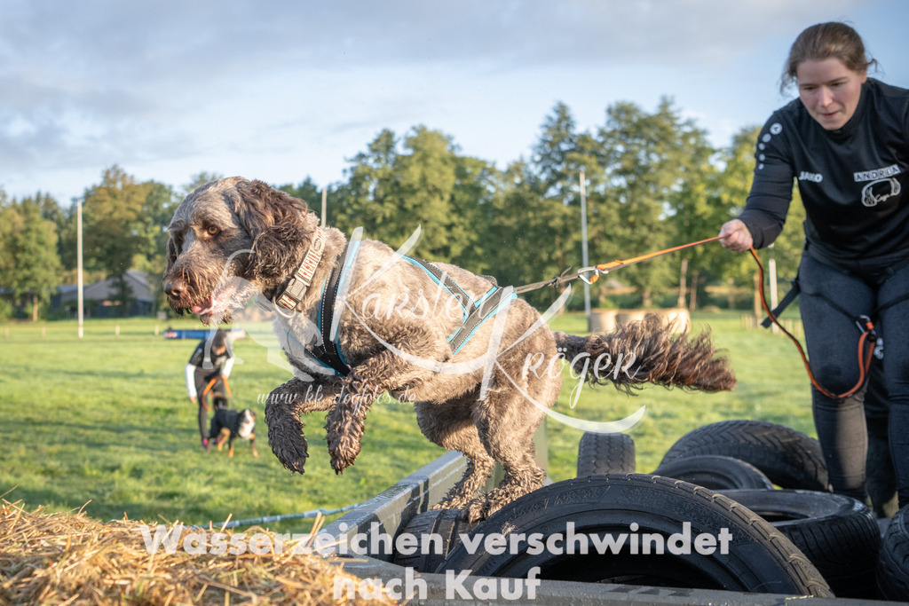 0804_ZZ90107 | kk-dogfotos