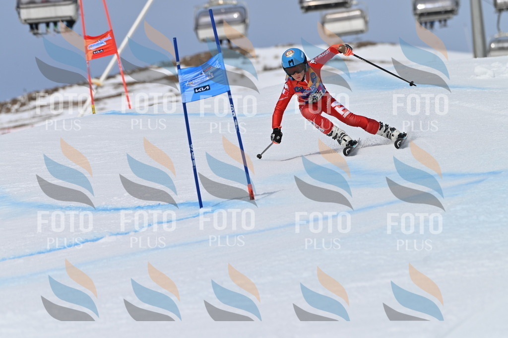 BGV_5828 | holidayphoto