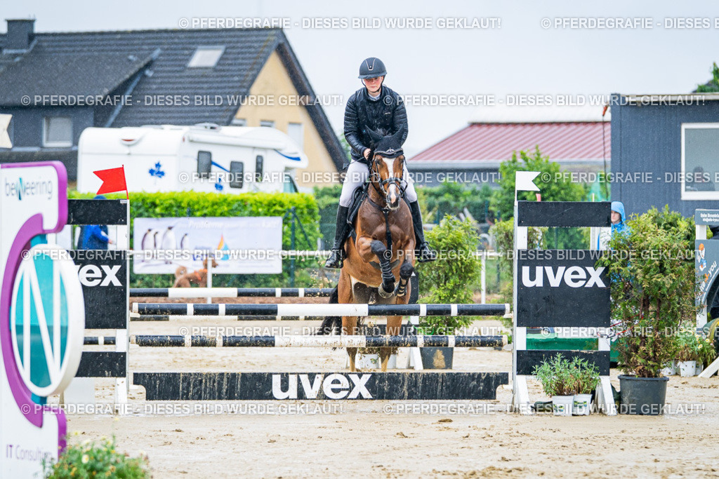 DSC03093 | Pferdegrafie