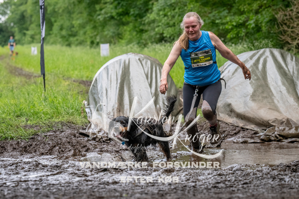 1538_ZZ94722-Bearbeitet | kk-dogfotos