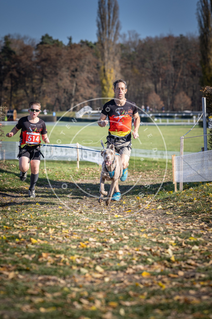CaniXpix_DV3A7997 | Hundefotografie, Tierfotograf, Pfotenfotografie, Fotoshooting Hund, Hunde Portrait, Hundesport, Hundeportraits, Heideshooting, Hunde, Sportfotograf, Hundefotograf, Turnierhundsport, THS,  - Realisiert mit Pictrs.com