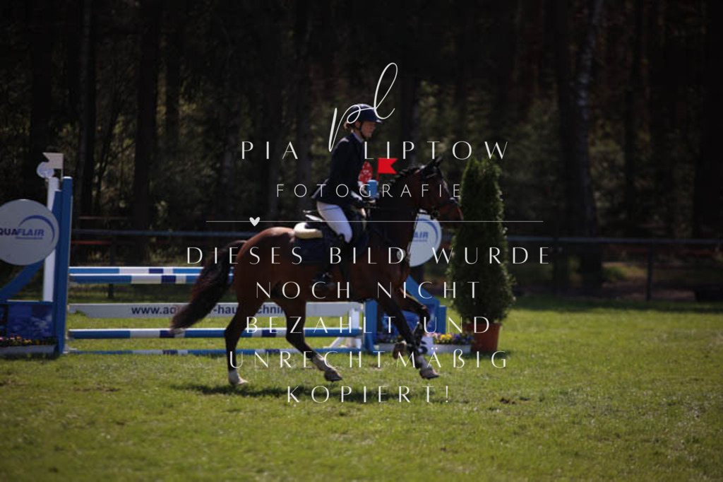 IMGT5672 | pl-fotografie