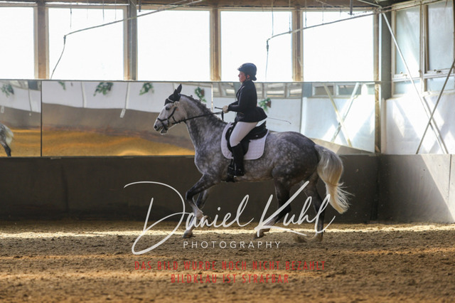 IMG_2433 | Turniersportfotografie; Pferdefotografie; Dressurfotografie