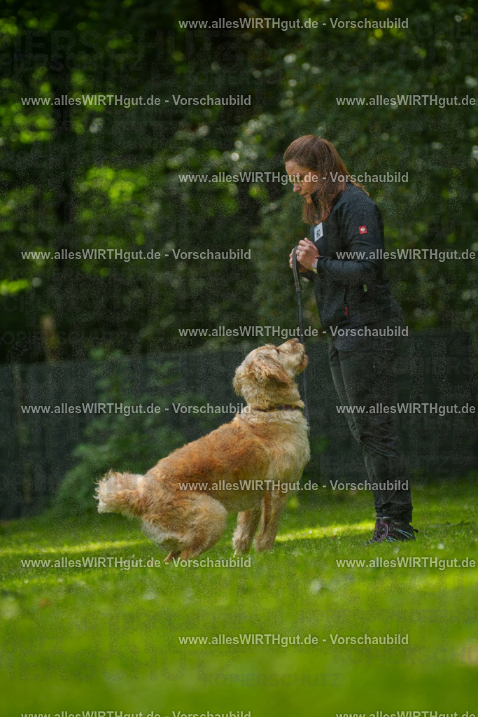@allesWIRTHgut_Tierfotografie - www.allesWIRTHgut.de - 7R501543 | Professionelle Tierfotografie in Mönchengladbach von Daniel Wirth (allesWIRTHgut). Liebevolle & natürliche Bilder von Hunden & Katzen für unvergessliche Erinnerungen.