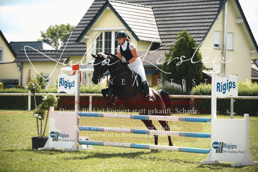 DSC_6648 | Pferde- und Turnierfotografie in Westsachsen. Pferdeportraits, Auftragszeichnungen und intuitive Kunst.