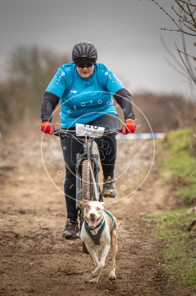 DV3A0682 | Hundefotografie, Tierfotograf, Pfotenfotografie, Fotoshooting Hund, Hunde Portrait, Hundesport, Hundeportraits, Heideshooting, Hunde, Sportfotograf, Hundefotograf, Turnierhundsport, THS,  - Realisiert mit Pictrs.com