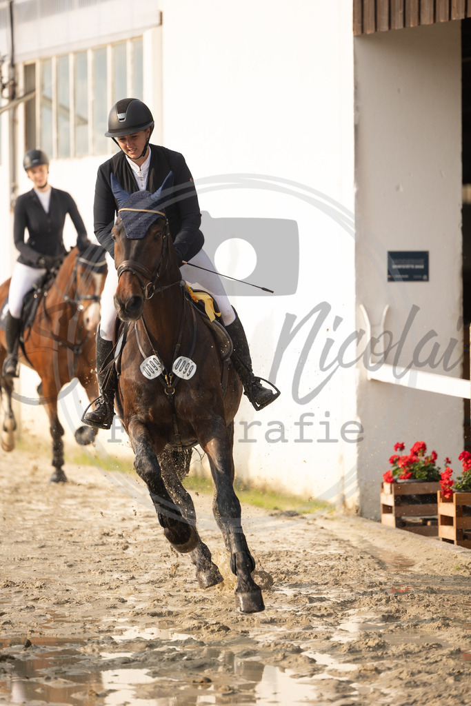 994A9914 | sabrinanicolaifotografie - Realisiert mit Pictrs.com