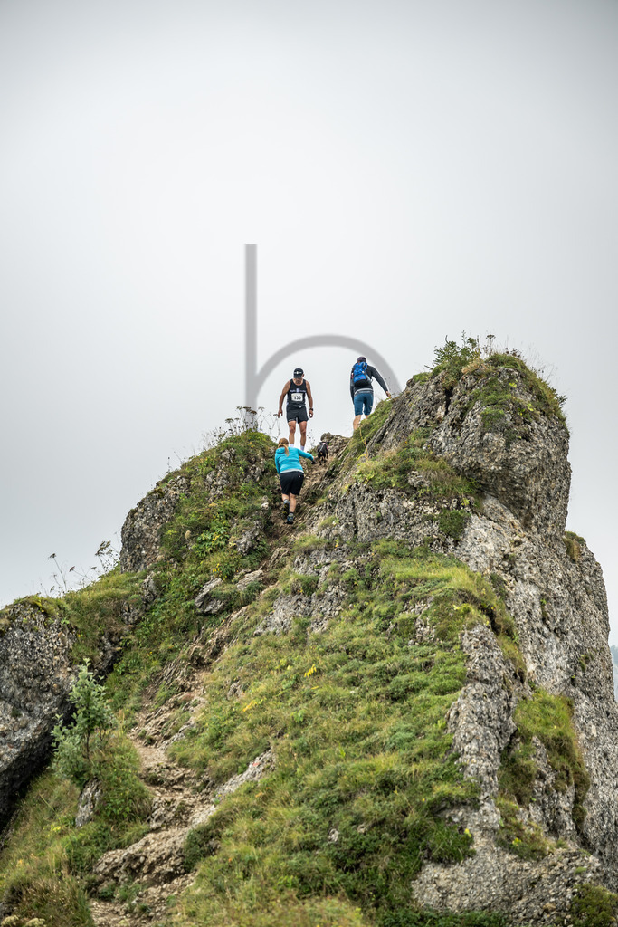 36. Gebirgsmarathon | Immenstadt, 23.08.2025 - 36. Gebirgsmarathon im Naturpark Nagelfluhkette. Einer der anspruchsvollsten​und ältesten Bergläufe​Deutschlands.Foto: Dominik Berchtold/www.dberchtold.com