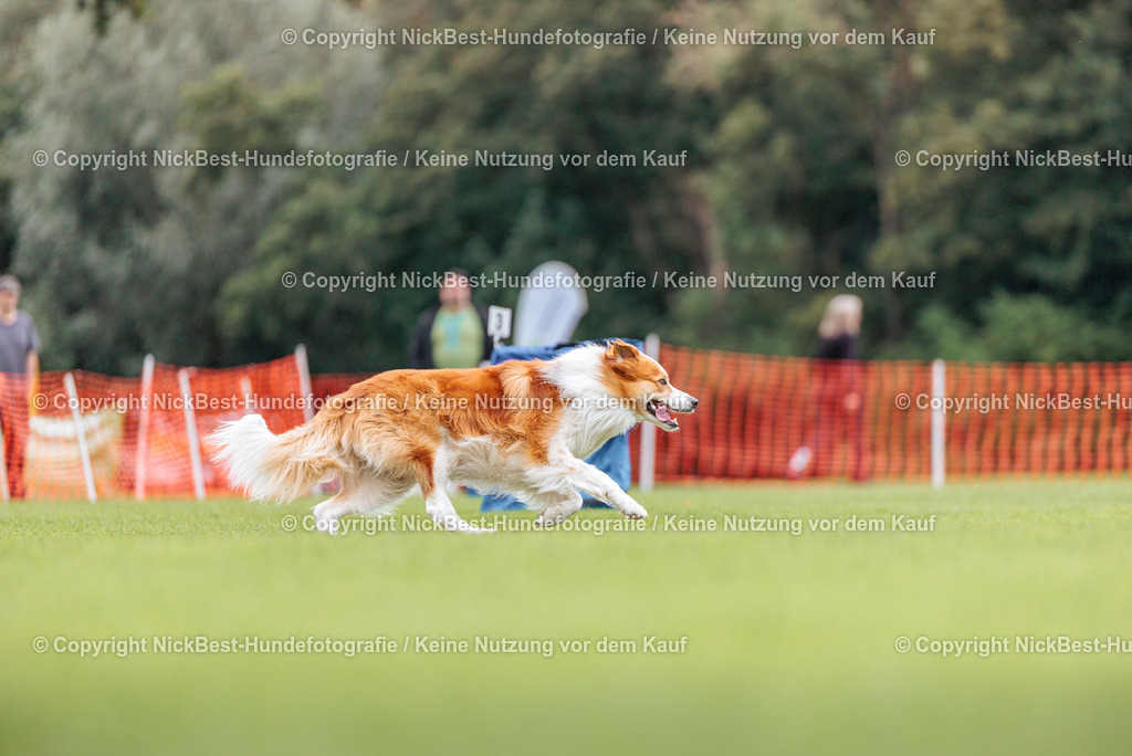 BSP Hoopers-H2-2026-Nickbest-Hundefotografie-TuS Komet Arsten e.V.-5657 | Dein Hund! Dein Moment! Deine Erinnerungen! Hundefotografie in Bremen Blumenthal. Ich fange die besonderen Momente deines Vierbeiners ein – ob Indoor mit Blitzanlage oder in der freien Natur. Sicher dir dein Moment und dein Termin für eure Erinnerungen.